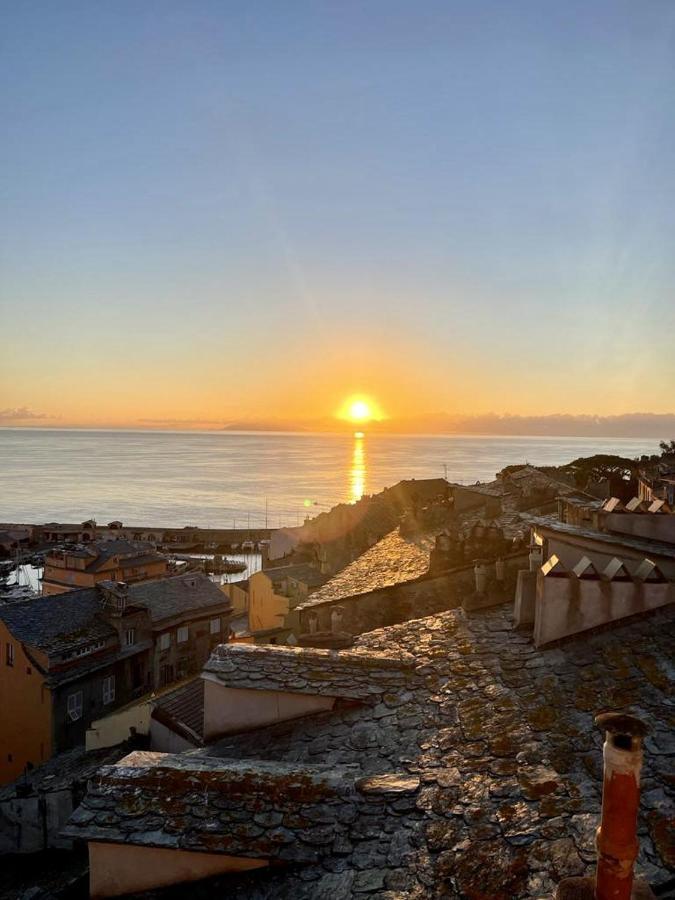 U Granaghju Lejlighed Bastia  Eksteriør billede